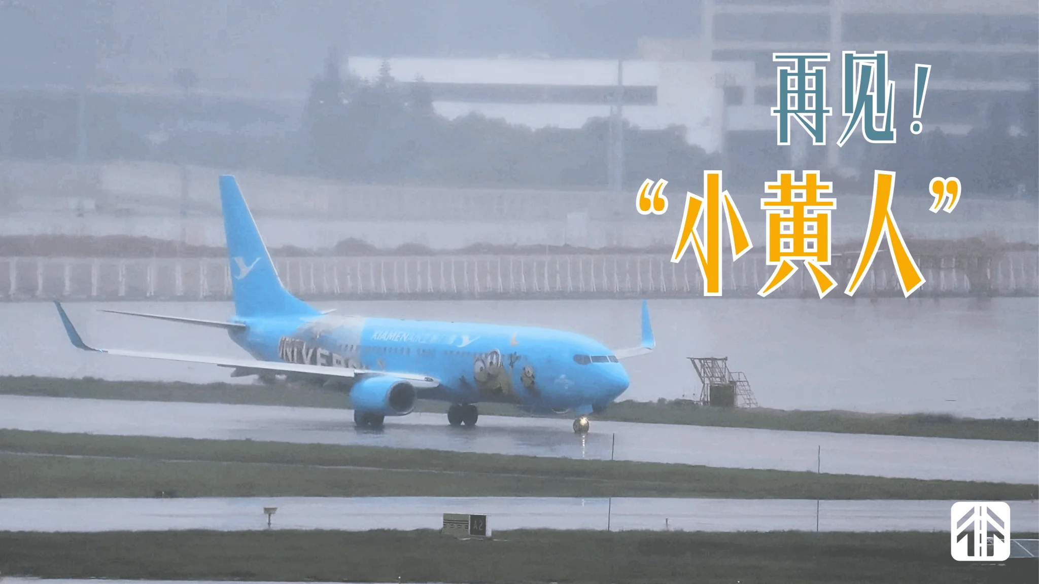 又一架彩绘退涂？厦航“小黄人”彩绘机雨中调机日照