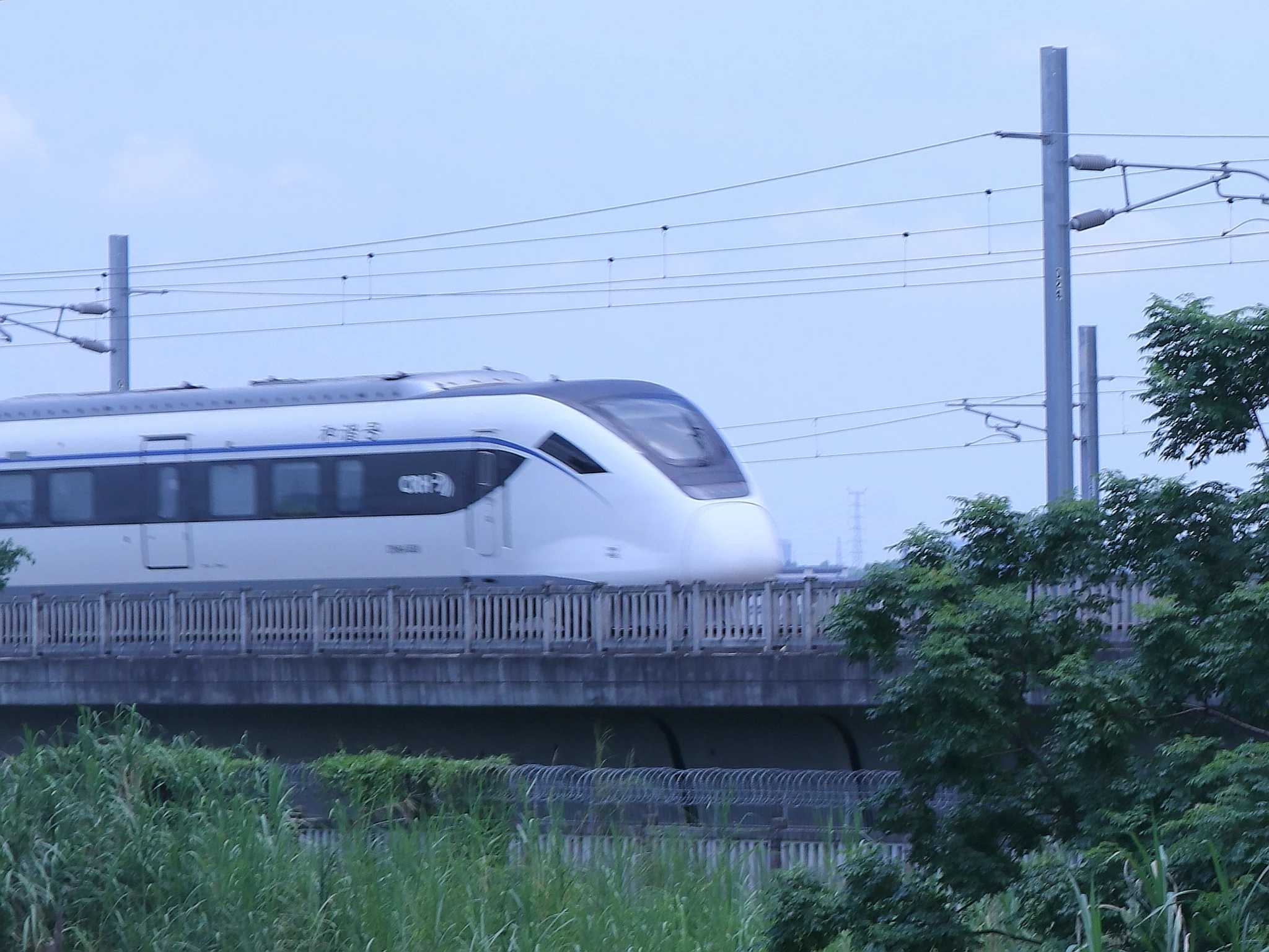 3B6DABE6-F209-426E-99F5-3A83D9CA6C3F.jpg