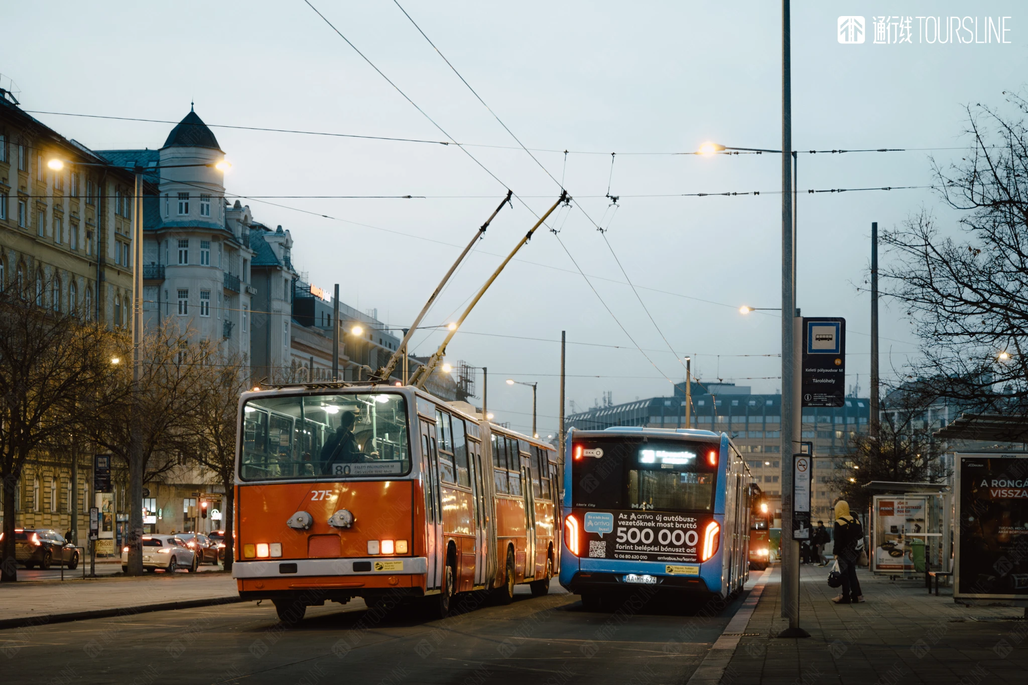 2AE667AB-4EFE-429F-B878-5FDDBF4617DE.jpg