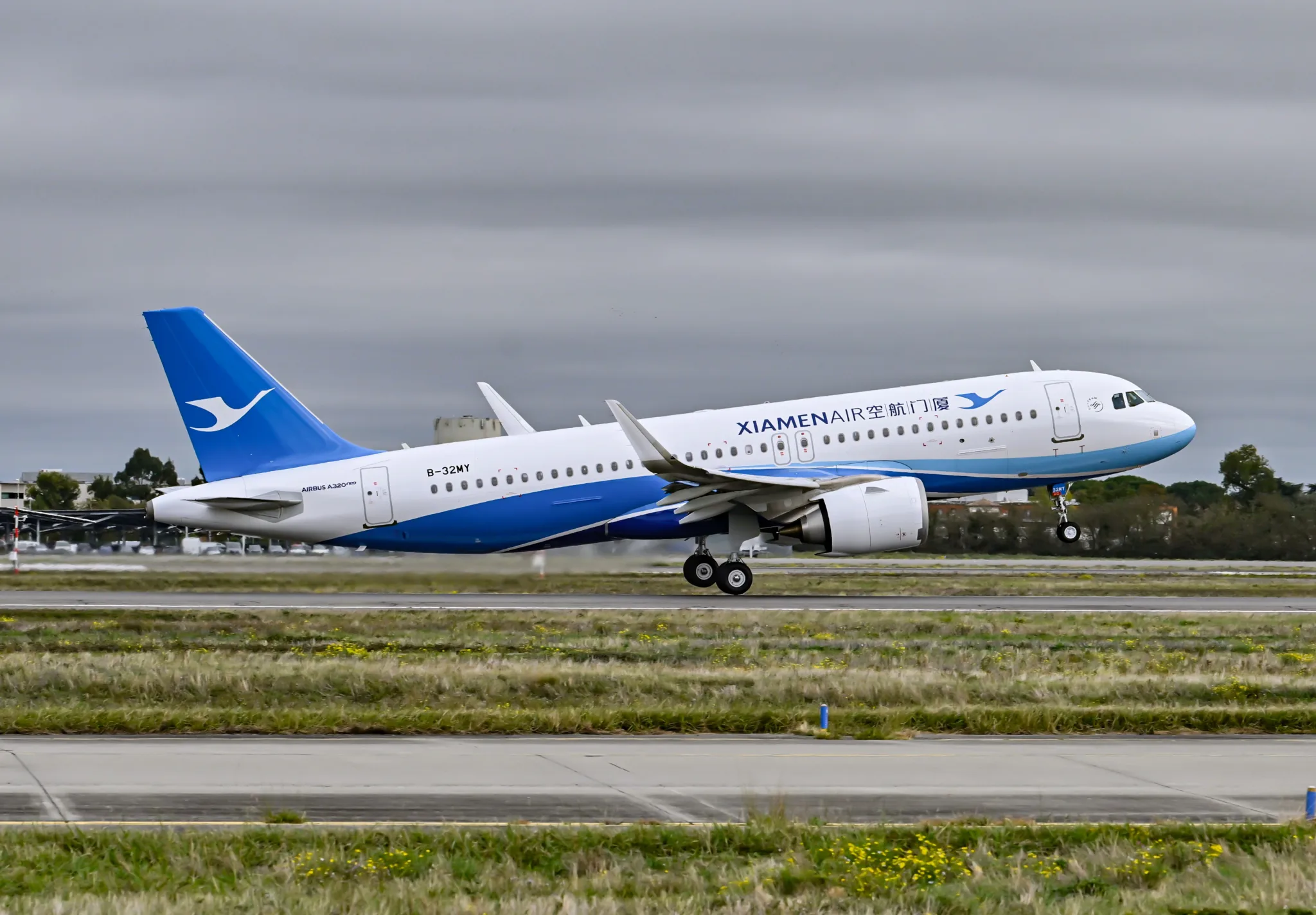 人生路漫漫 neo常相伴