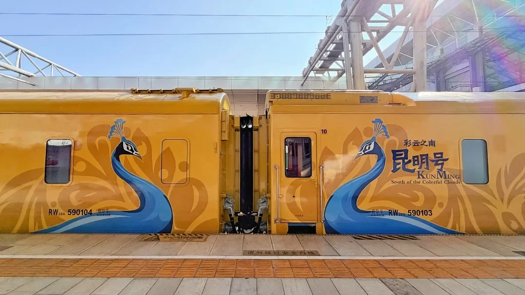 “彩云之南·昆明号”Y26次跨国列车亮相