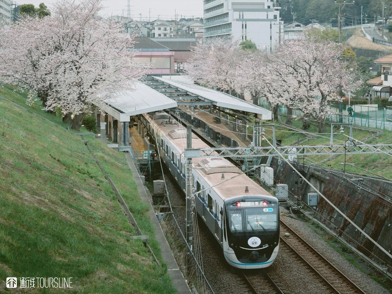 事故损毁导致车不够用了？东急田园都市线发布减班计划